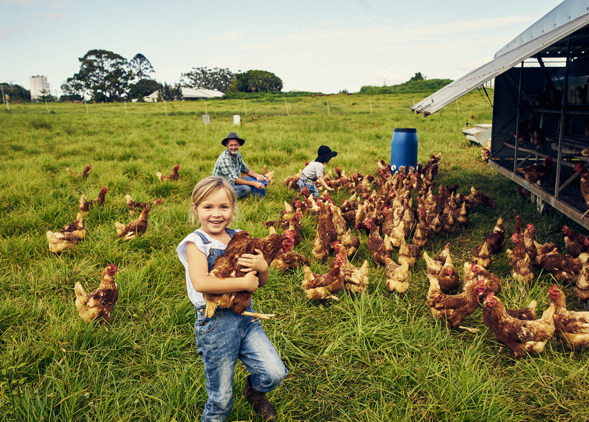 Child in field with chickens