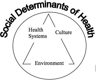 Social Determinants of Health MCH 2014
