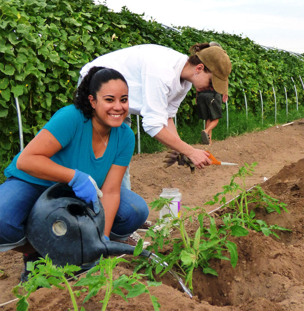 Students working in agriculture