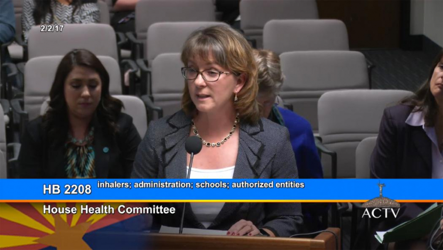 Lynn Gerald, professor of public health at the UA Mel and Enid Zuckerman College of Public Health, provided expert testimony before the Arizona House of Representatives Committee on Health on Feb. 2, 2017. 